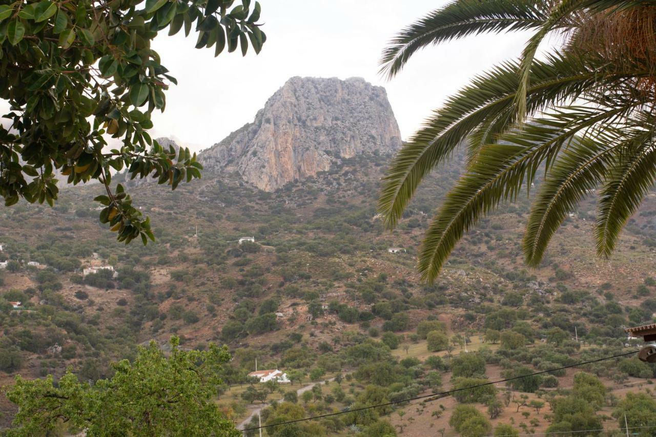 Ferienwohnung Lagar Del Chorro Junto Caminito Del Rey Piscina Y Baloncesto Exterior foto